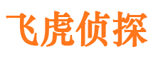 辉县市侦探公司